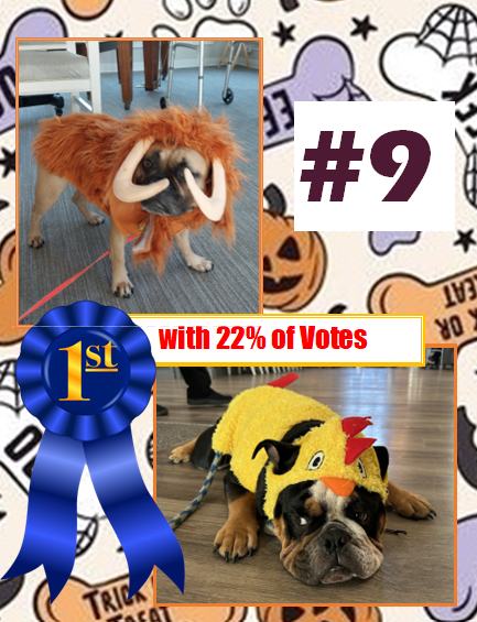 Howl-o-ween Winners 2025