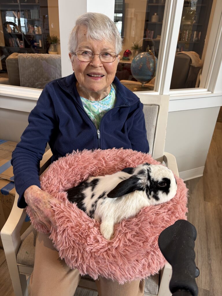 Bestie Bunnies smiles and cuddles